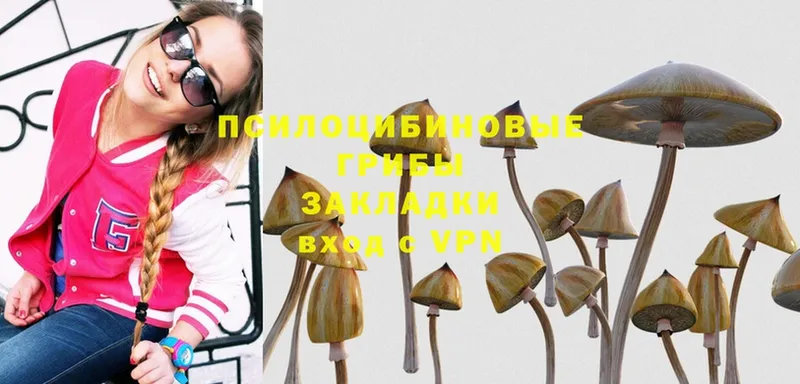 Галлюциногенные грибы MAGIC MUSHROOMS  Новосибирск 